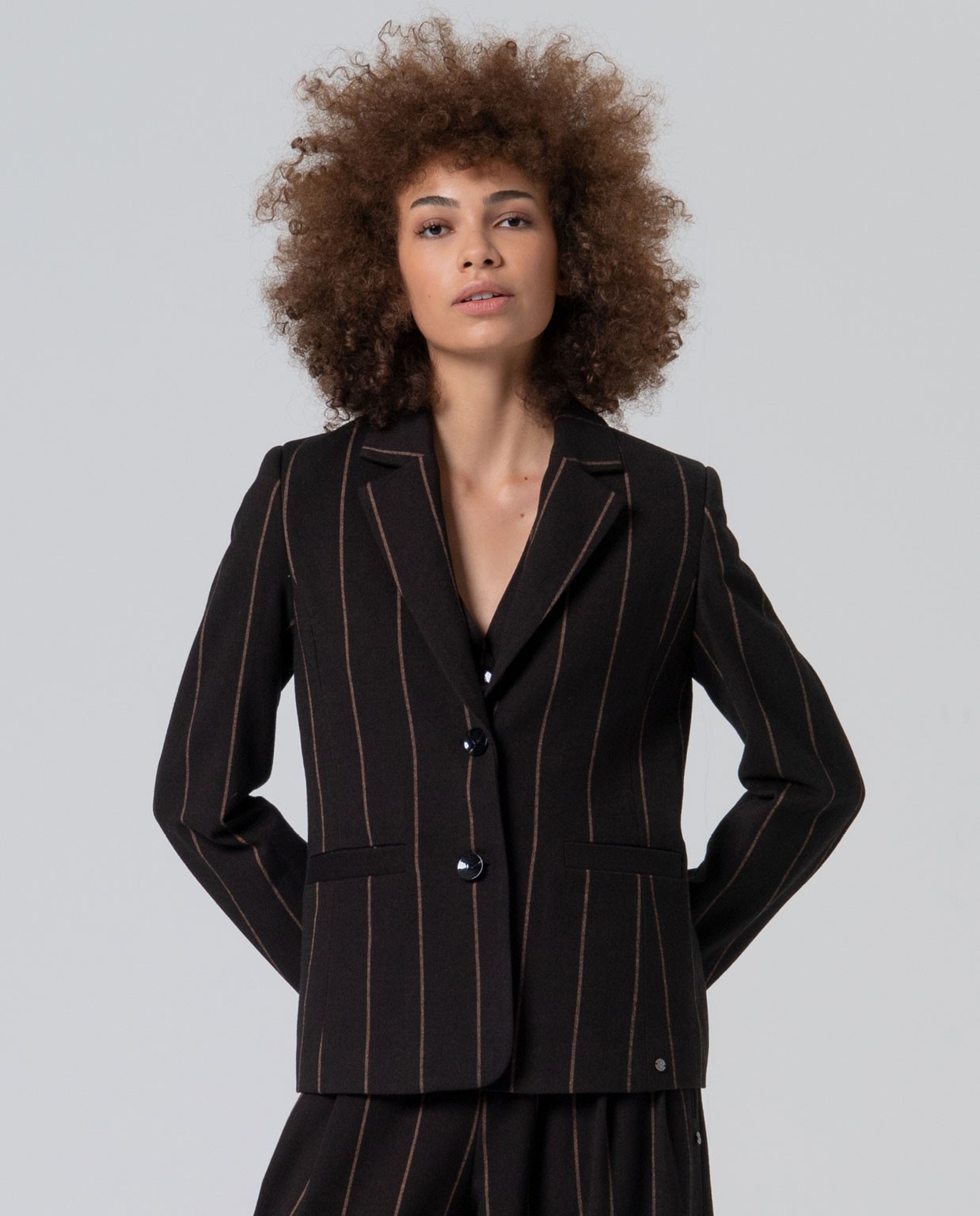 Pinstripe blazer Brown